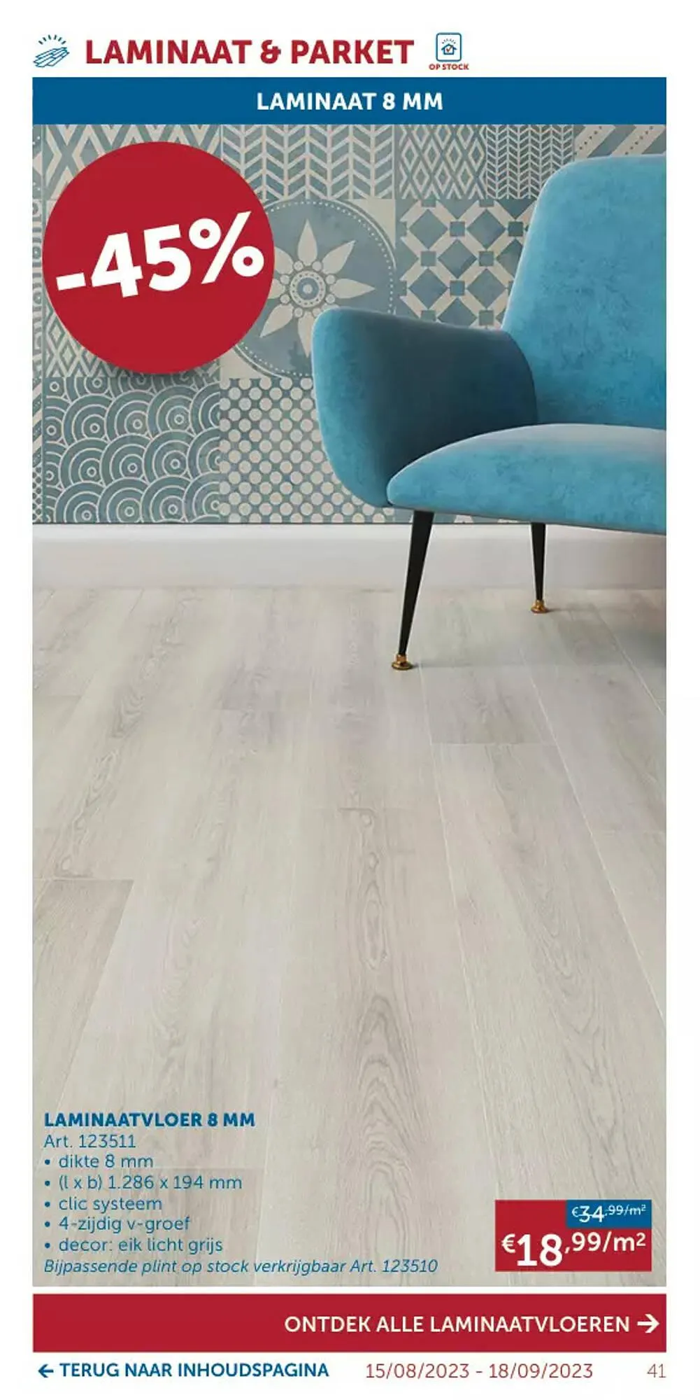 Zelfbouwmarkt folder van 15 augustus tot 18 september 2023 - folder pagina 41