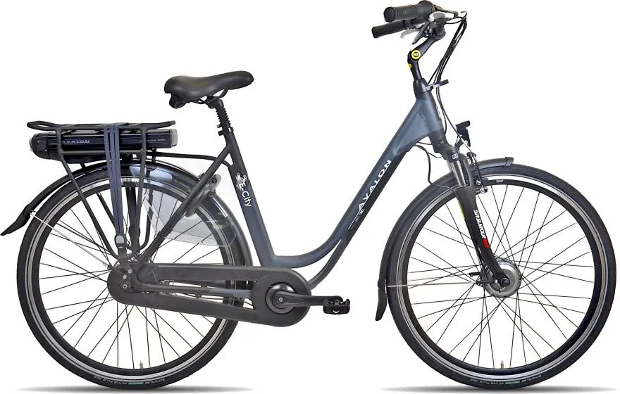 Avalon E-City+ 28 Inch Dames 7V Rollerbrake Antraciet