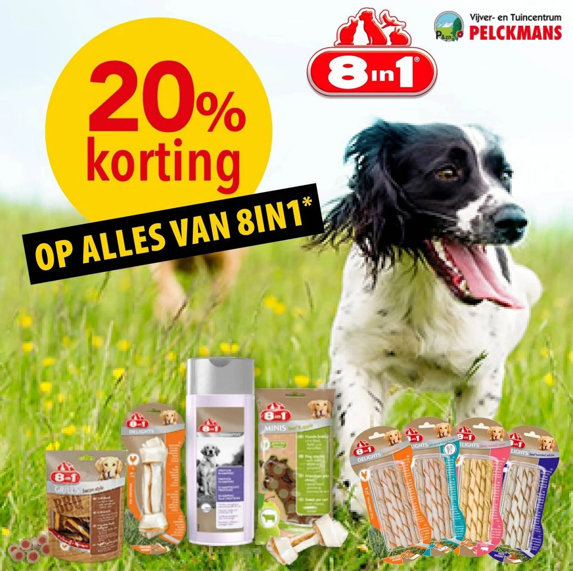 Pelckmans Folder - 1