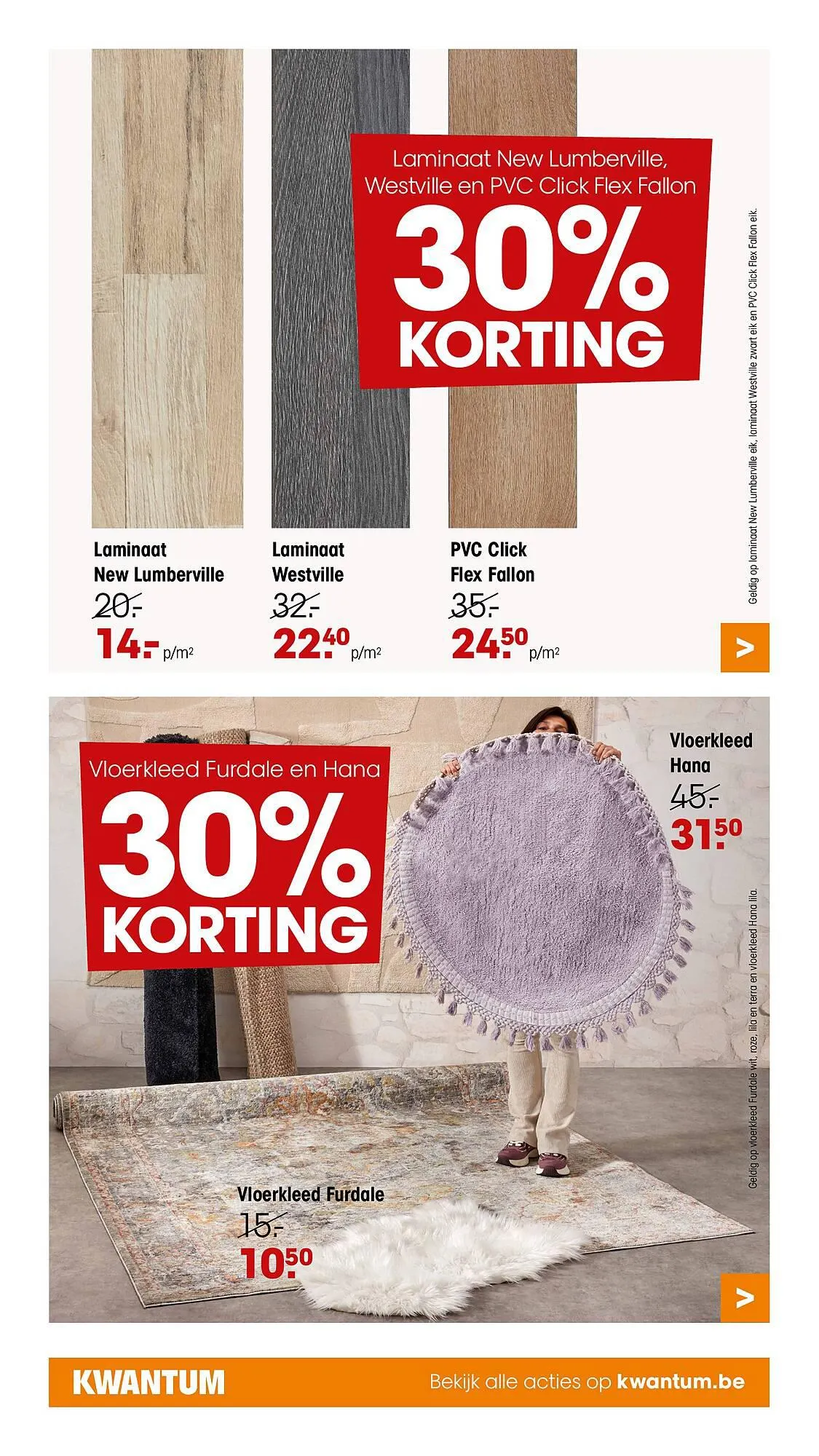 Kwantum folder van 6 november tot 19 november 2023 - folder pagina 13