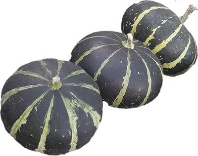 Sierkalebas (Cucurbita 'Flat Striped') D 10 cm