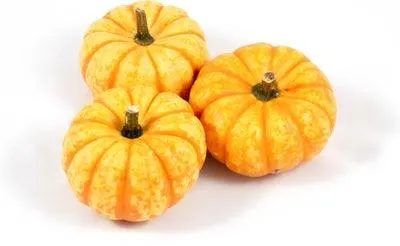 Pompoen (Cucurbita 'Spark') D 10 cm