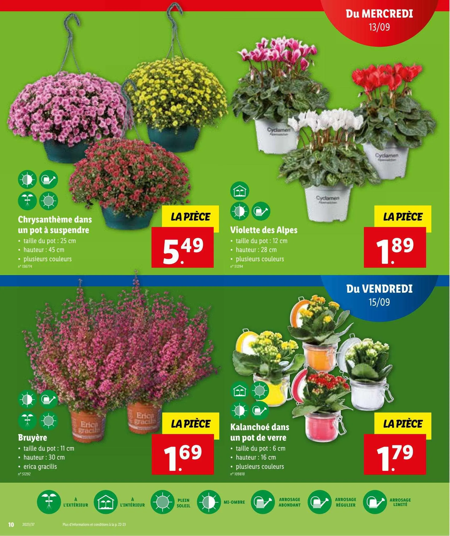 Lidl Folder (FR) van 11 september tot 11 september 2023 - folder pagina 14