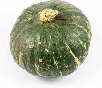 Pompoen (Cucurbita 'Sweet Mama') D 17,5 cm