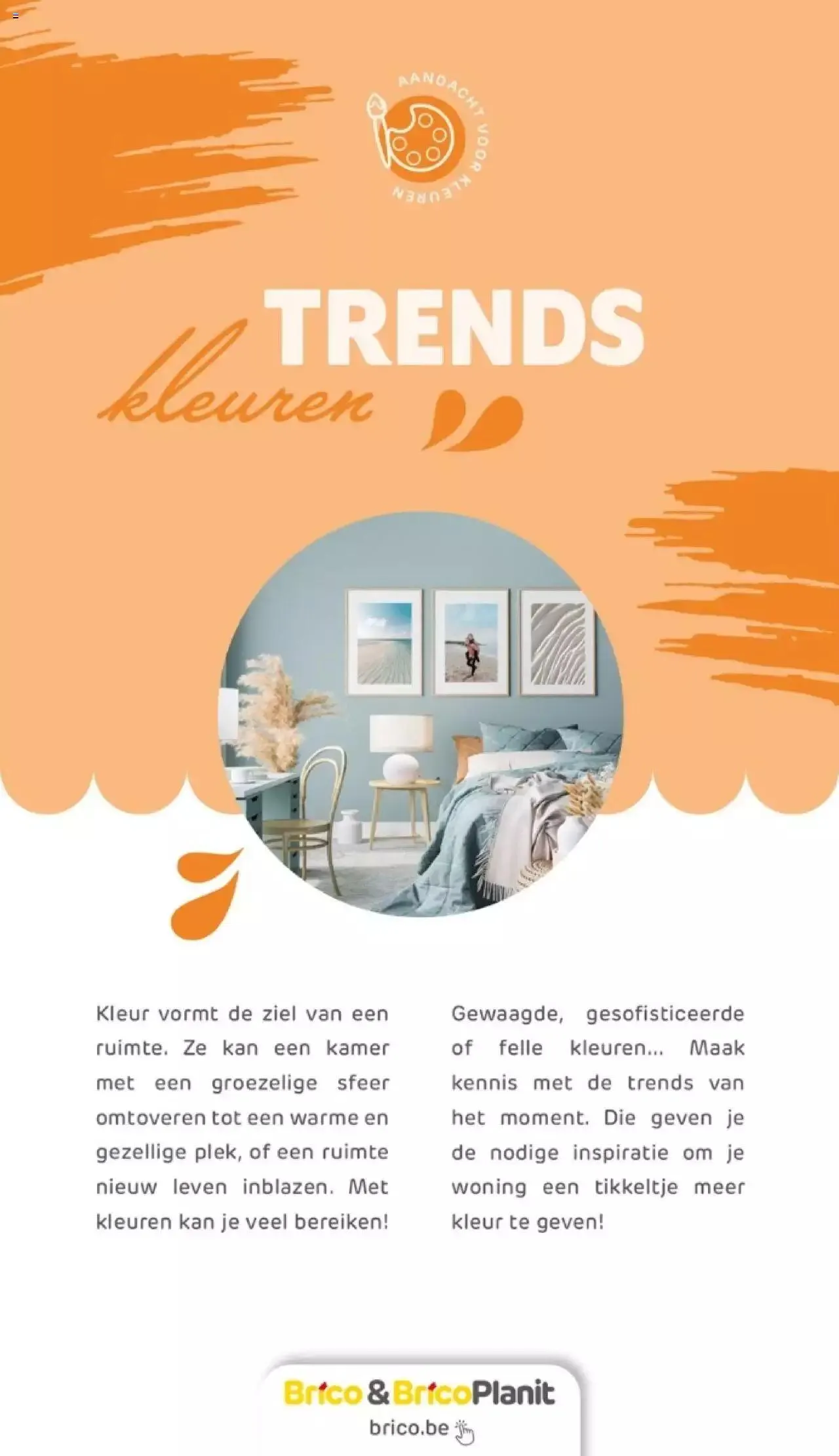 Brico - Verfmagazine van 14 juni tot 31 december 2023 - folder pagina 42