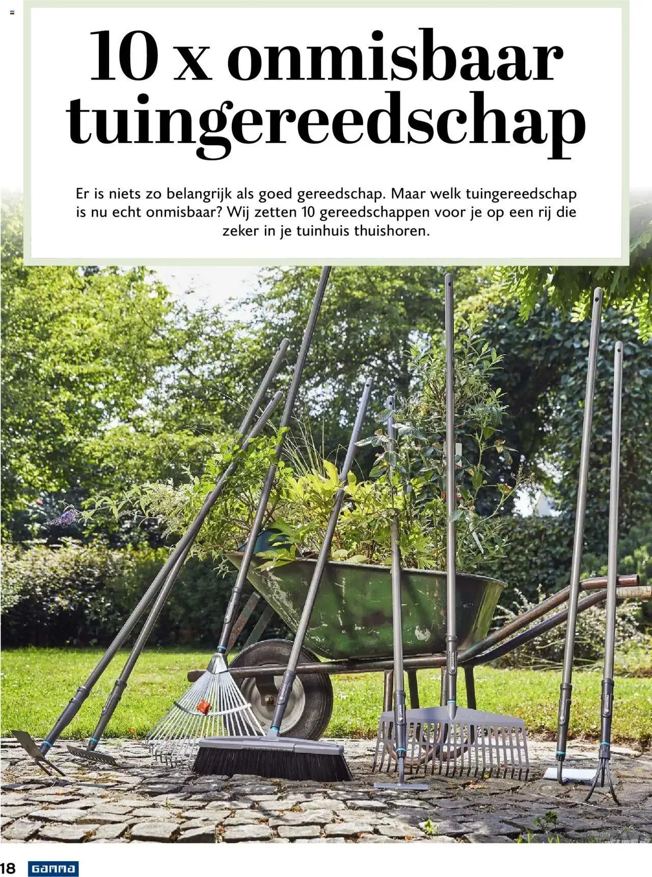 GAMMA tuinmagazine 2022 van 22 maart tot 31 december 2023 - folder pagina 18