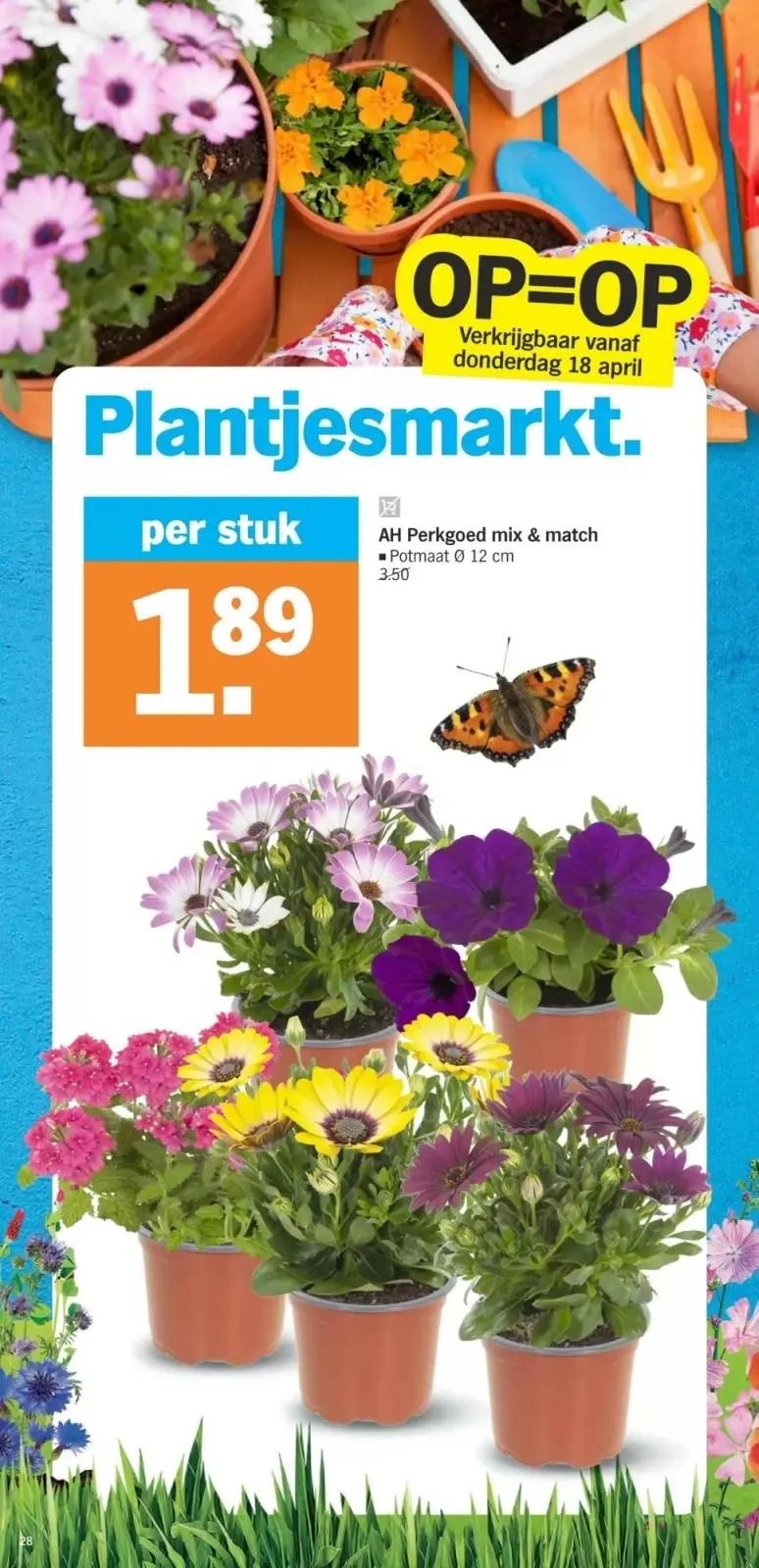 Albert Heijn folder tot 21.04.2024 van 14 april tot 21 april 2024 - folder pagina 15