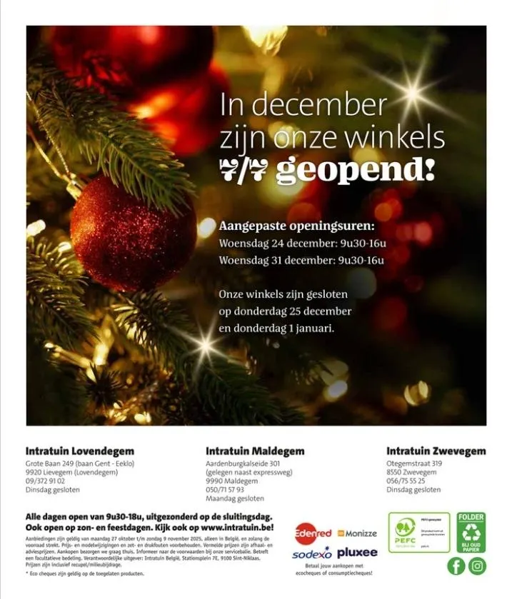 Intratuin folder tot 09.11.2025 van 1 november tot 9 november 2025 - folder pagina 24