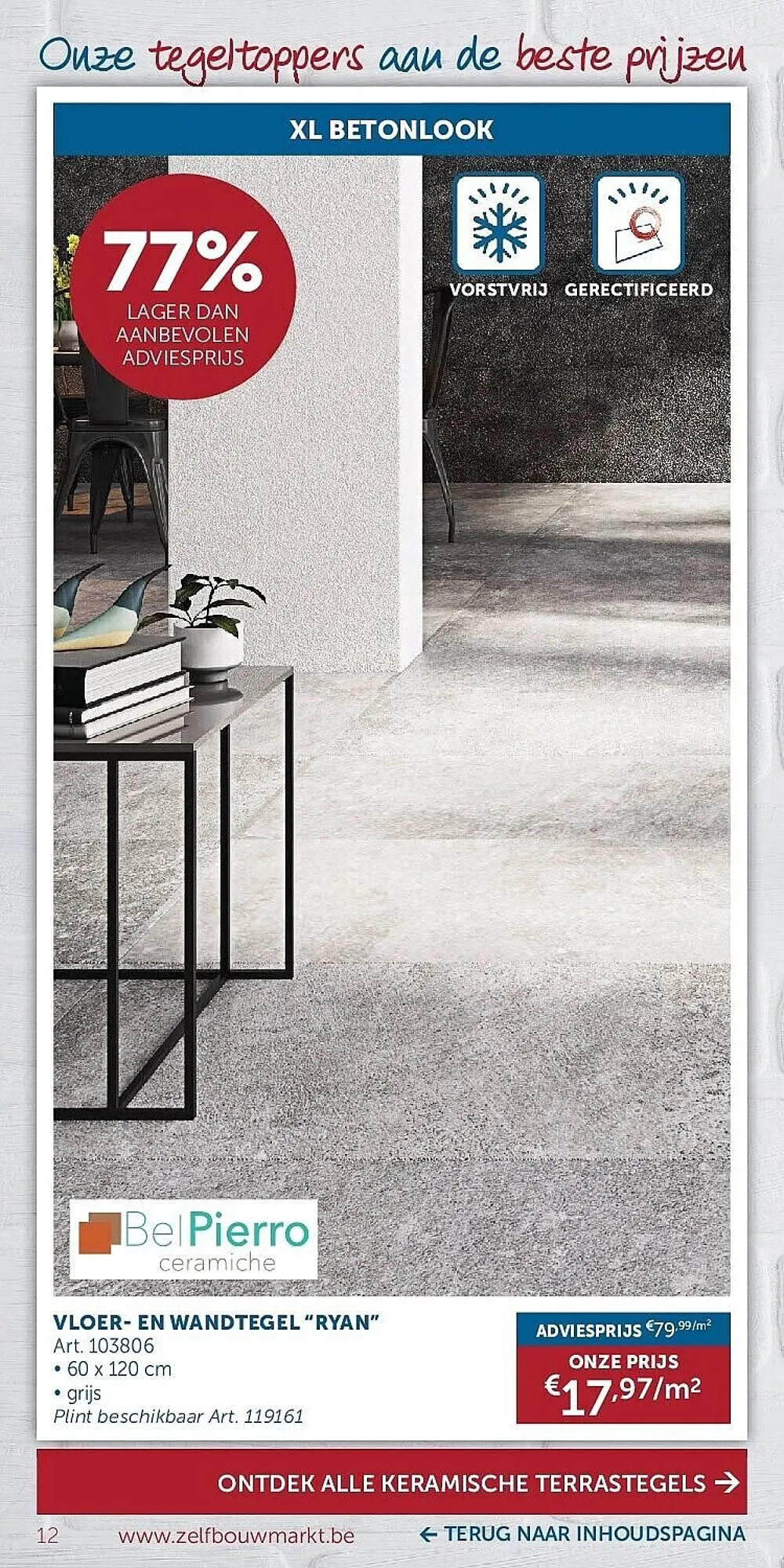 Zelfbouwmarkt folder van 31 maart tot 27 april 2026 - folder pagina 12