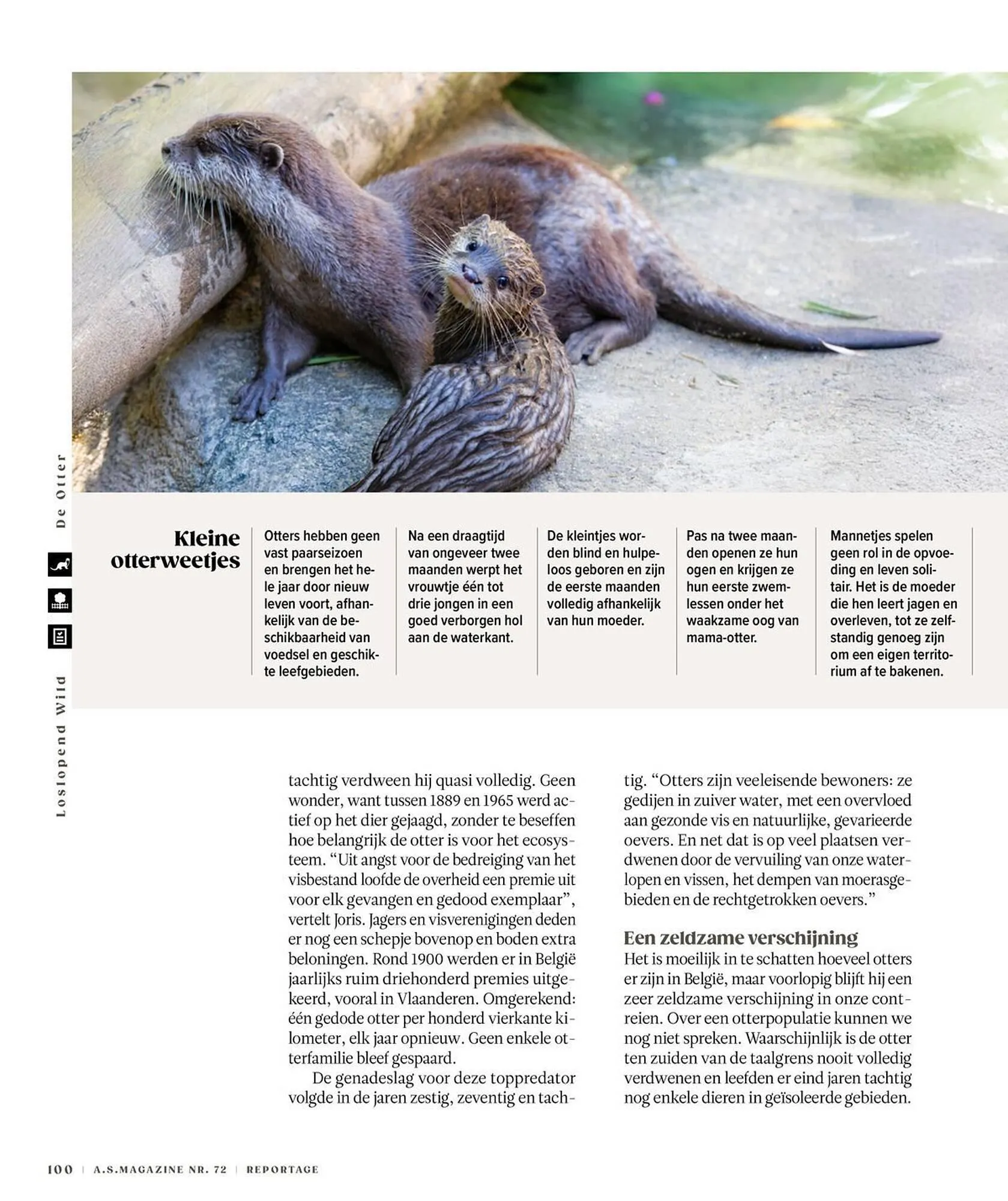 AS Adventure folder van 3 november tot 18 februari 2026 - folder pagina 100