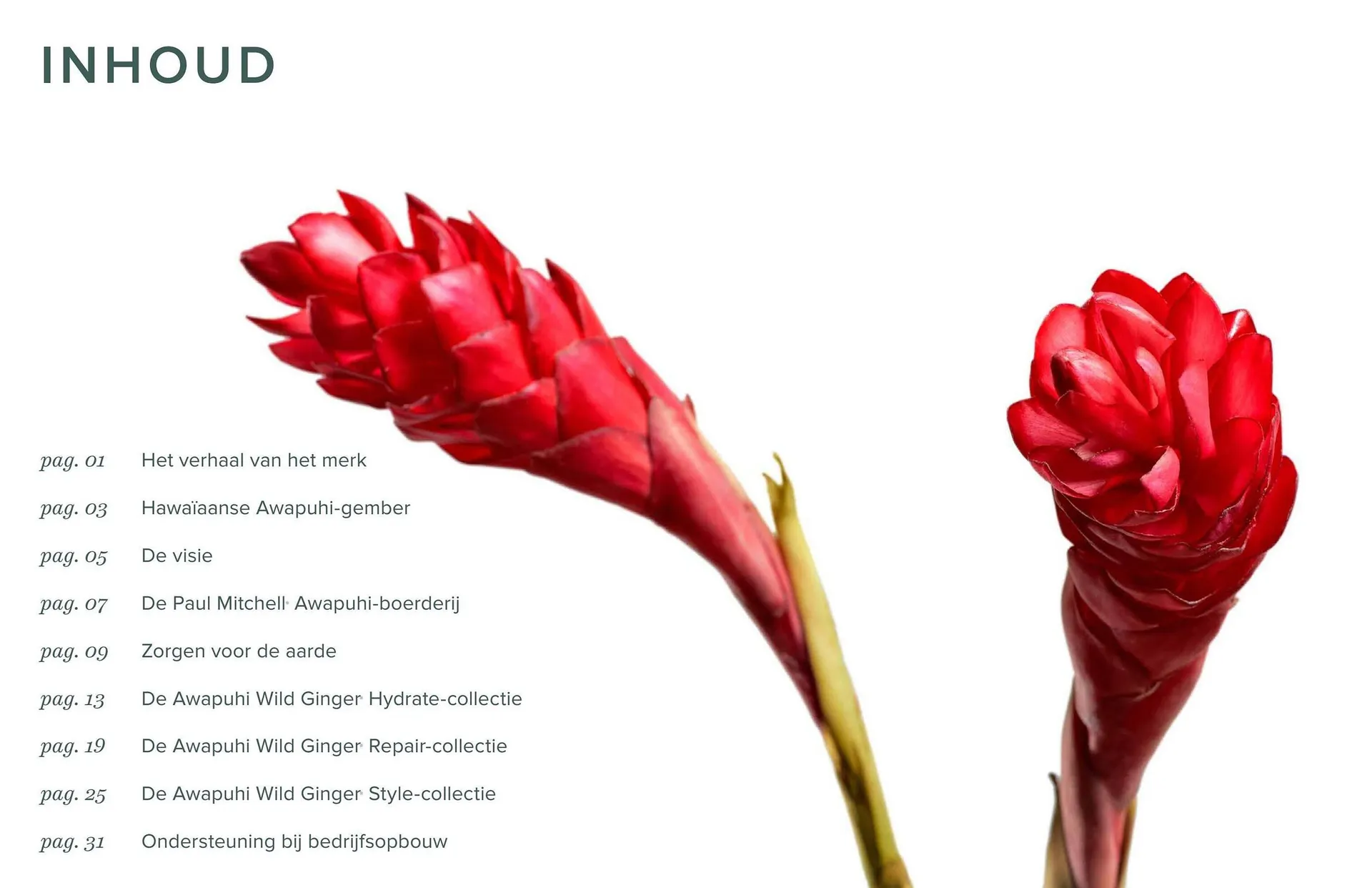 Pro-Duo folder van 1 maart tot 30 april 2024 - folder pagina 2