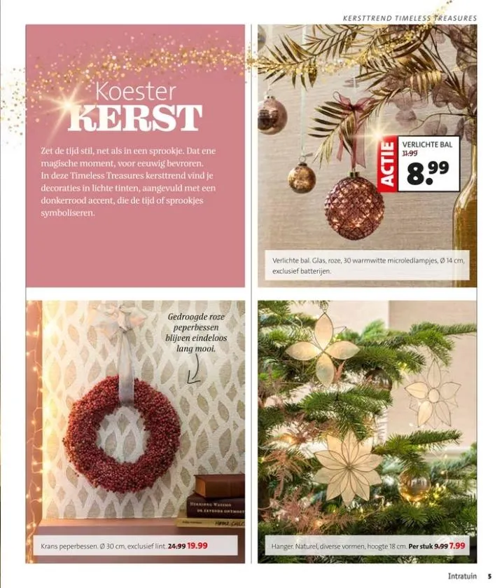 Intratuin folder tot 09.11.2025 van 1 november tot 9 november 2025 - folder pagina 5