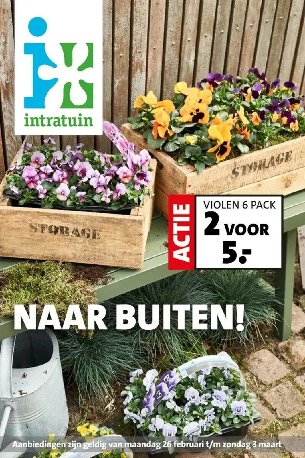 Intratuin folder tot 03.03.2024 van 23 februari tot 3 maart 2024 - folder pagina 