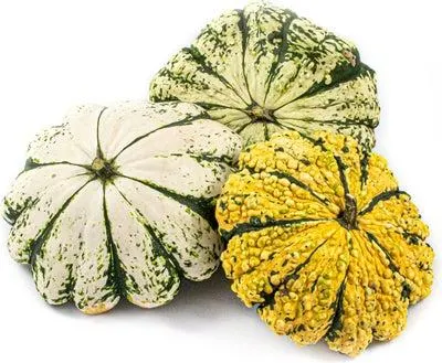 Pompoen (Cucurbita 'Patisson') D 12,5 cm