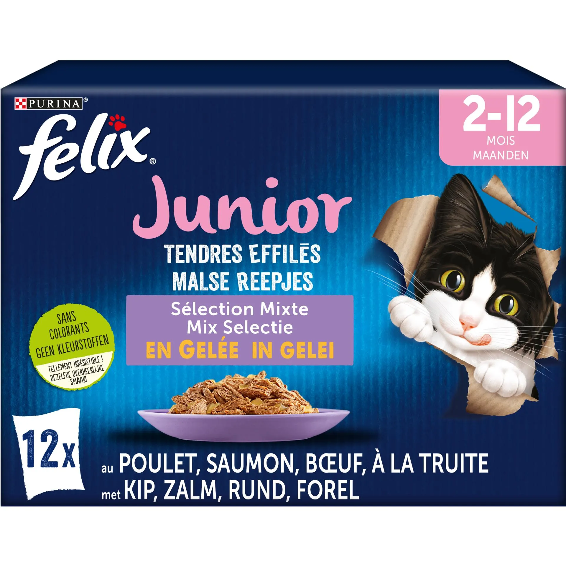 Felix chat tendres effilés junior sélection mixte en gelée 12x85g kitten