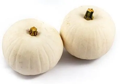 Sierkalebas (Cucurbita 'Snowbal') D 14 cm