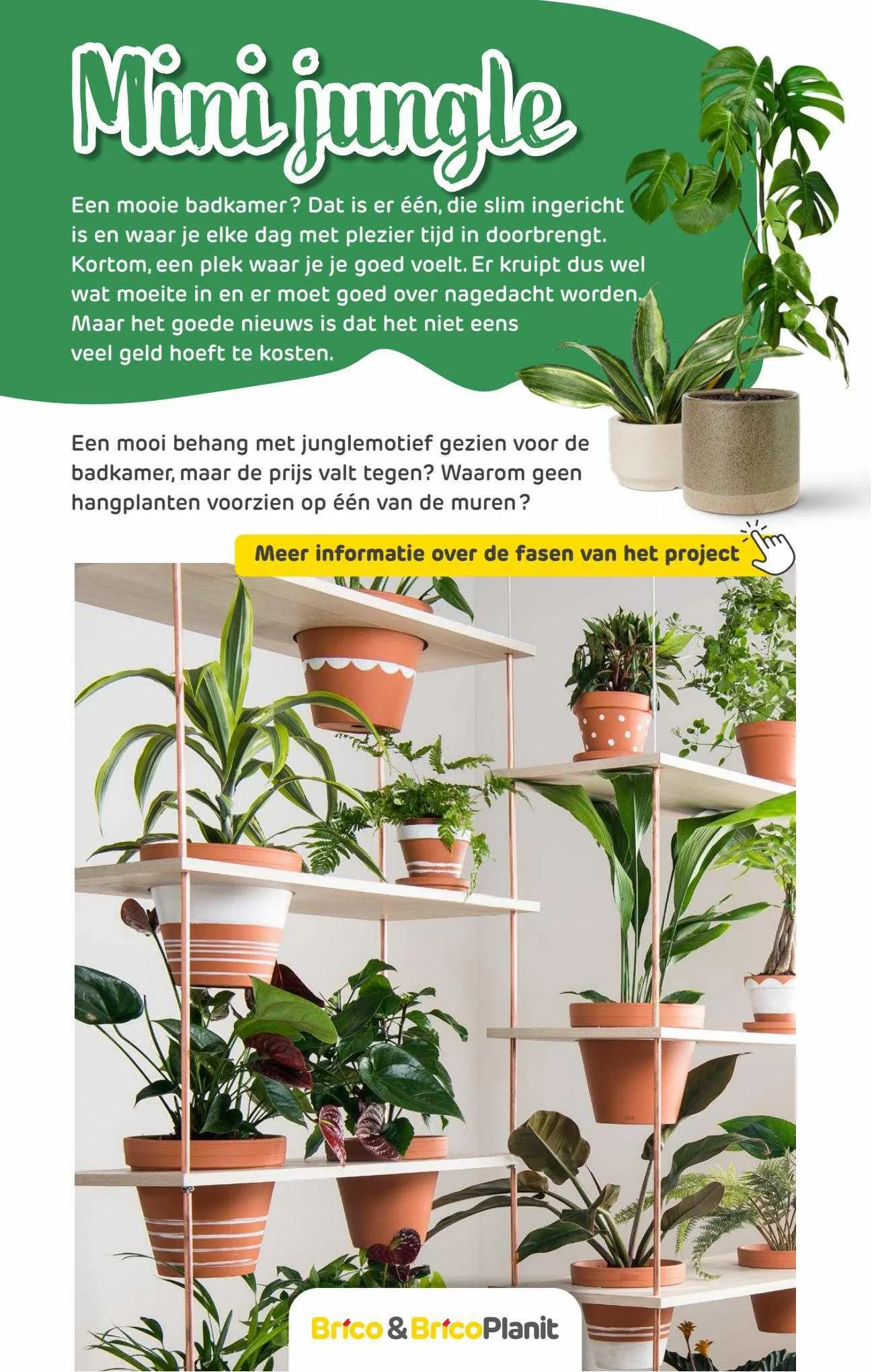 Brico Folder van 2 mei tot 2 mei 2024 - folder pagina 71