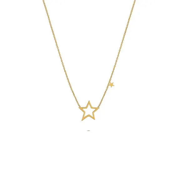 Halsketting in edelstaal, stervorm