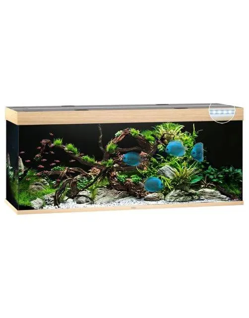 Juwel Aquarium Rio 450 Led 151x51x61 cm - Aquaria - Licht Hout