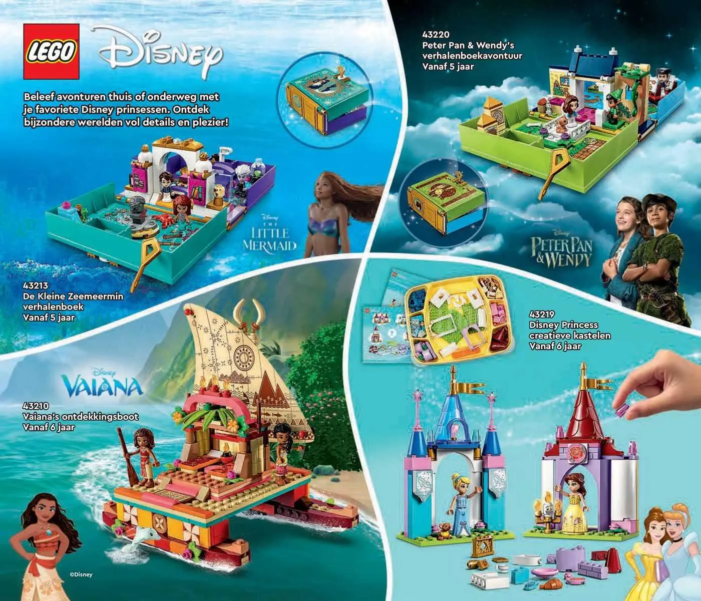 LEGO Folder van 29 januari tot 31 januari 2024 - folder pagina 25