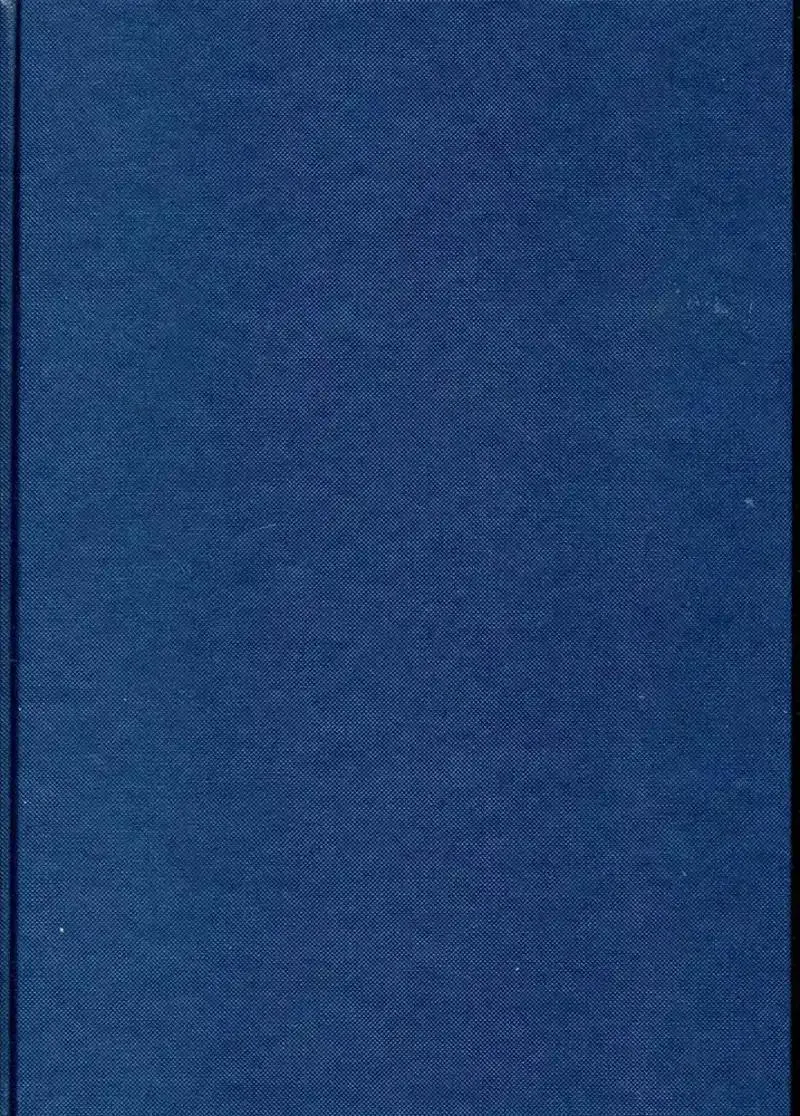 Dummie A4 blauw structuur (MIS869)