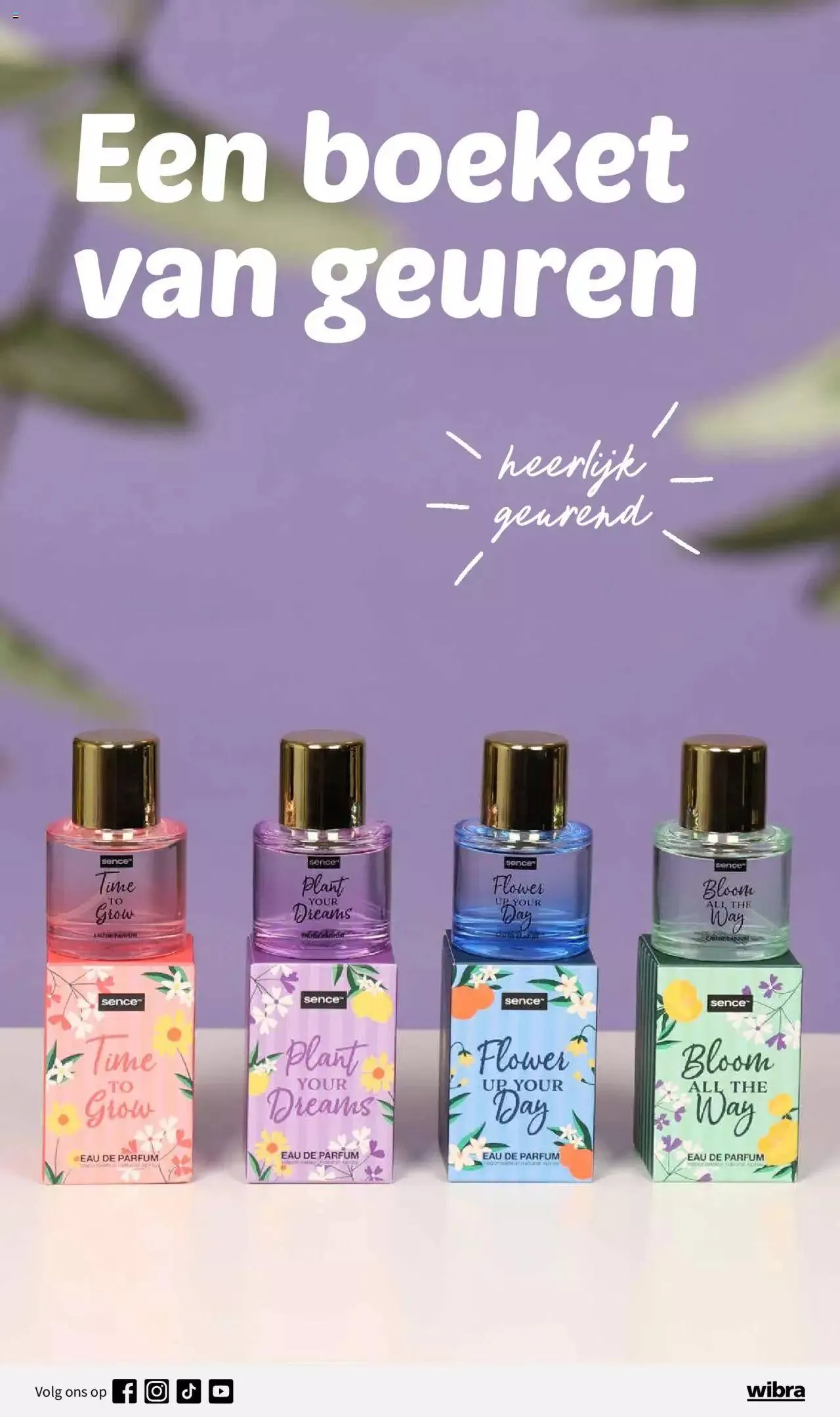 Wibra folder van 17 maart tot 16 maart 2024 - folder pagina 15