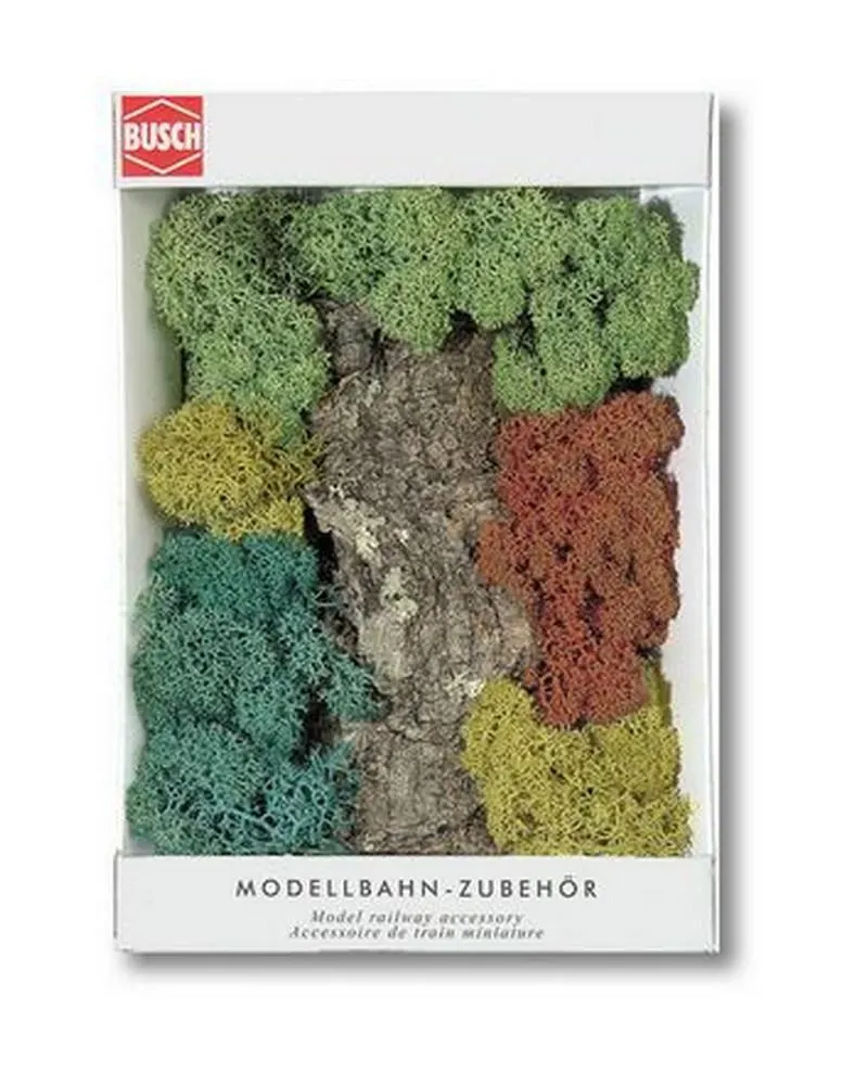 PAQUET ROCHERS + BUISSONS LICHEN