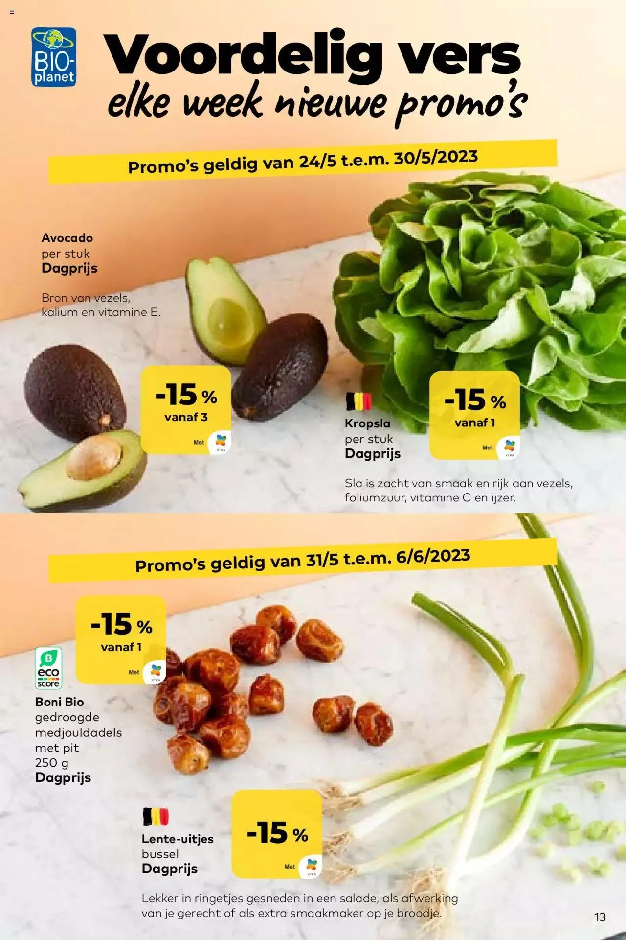 BioPlanet folder van 20 juni tot 31 december 2023 - folder pagina 13