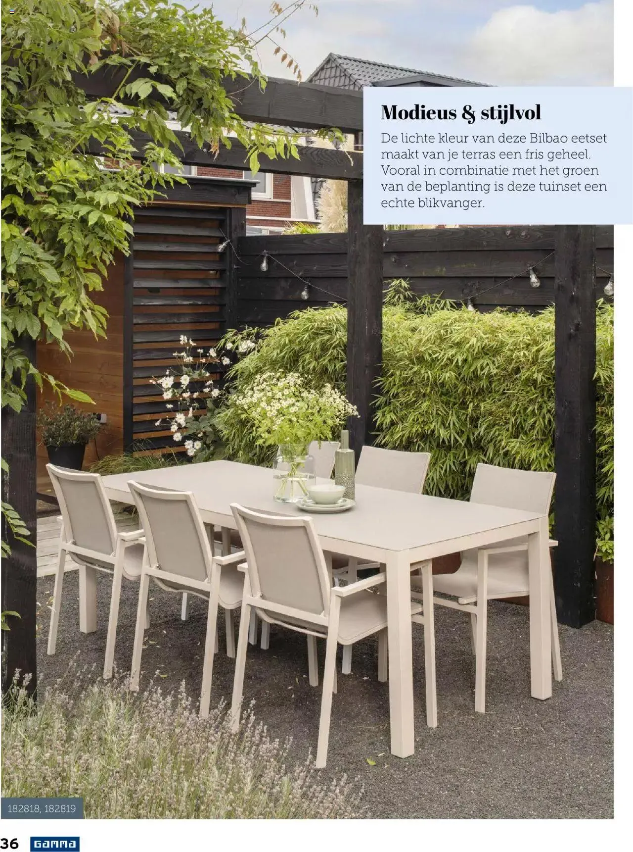 GAMMA tuinmagazine 2022 van 22 maart tot 31 december 2023 - folder pagina 36