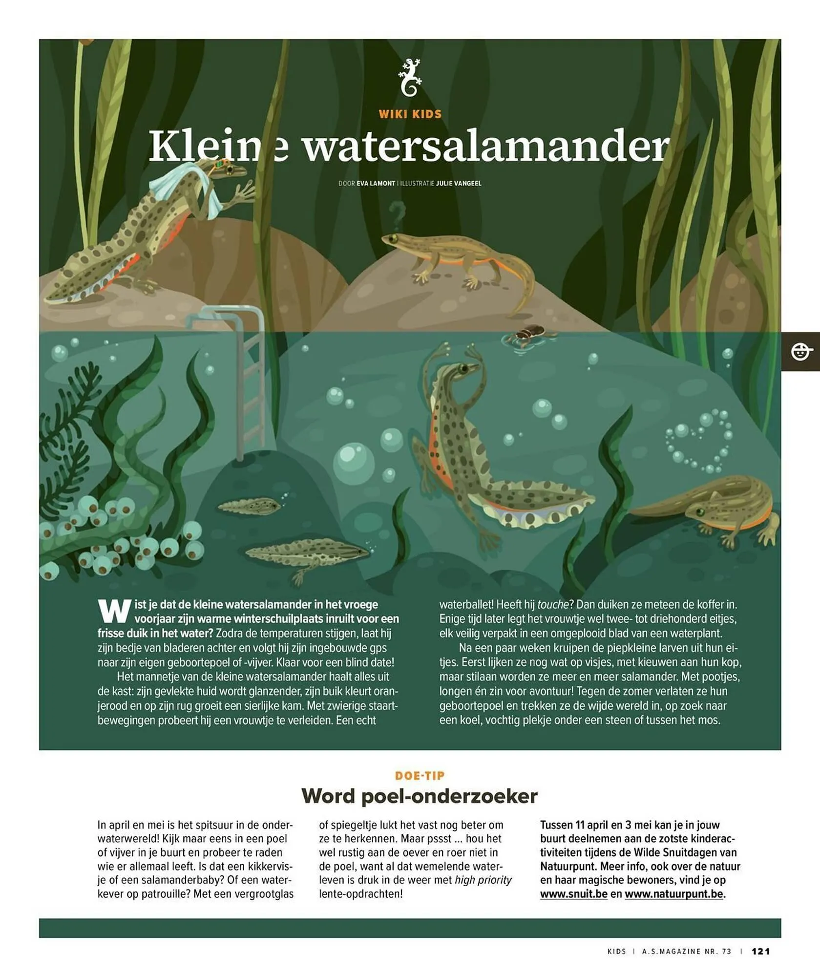 AS Adventure folder van 31 maart tot 30 april 2026 - folder pagina 121