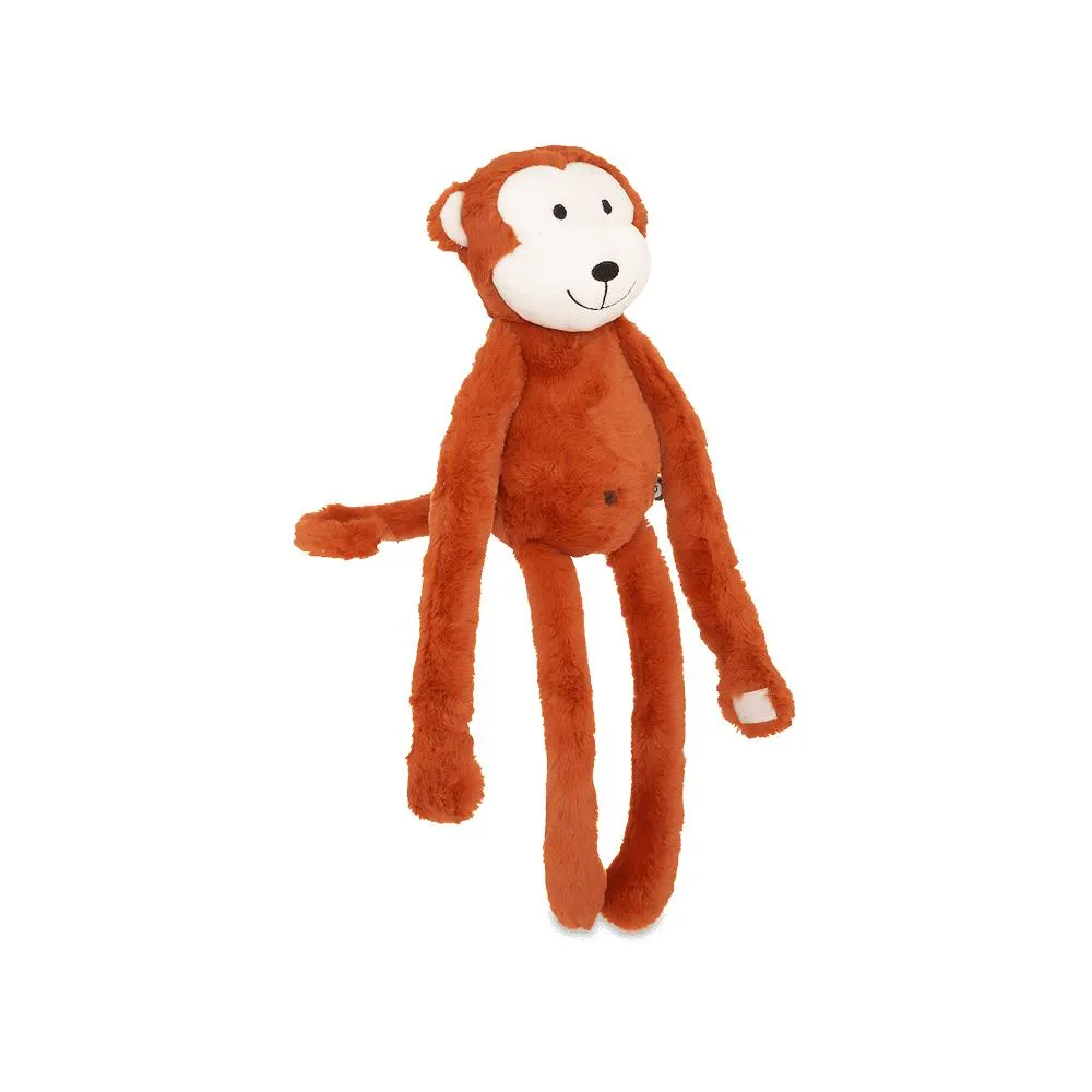 Teddy AAPIE Poly Bruin