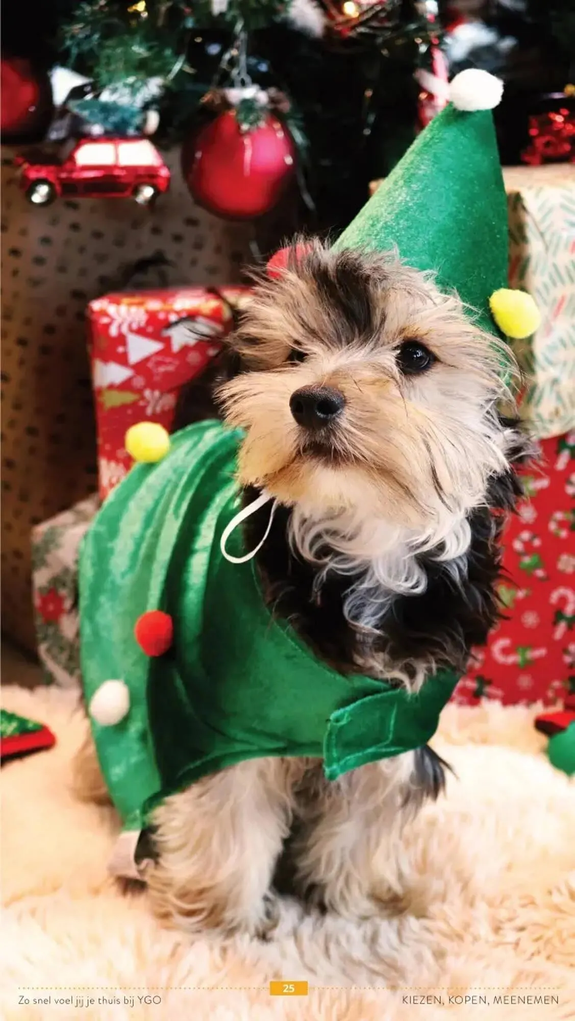 YGO folder van 5 december tot 31 december 2025 - folder pagina 25