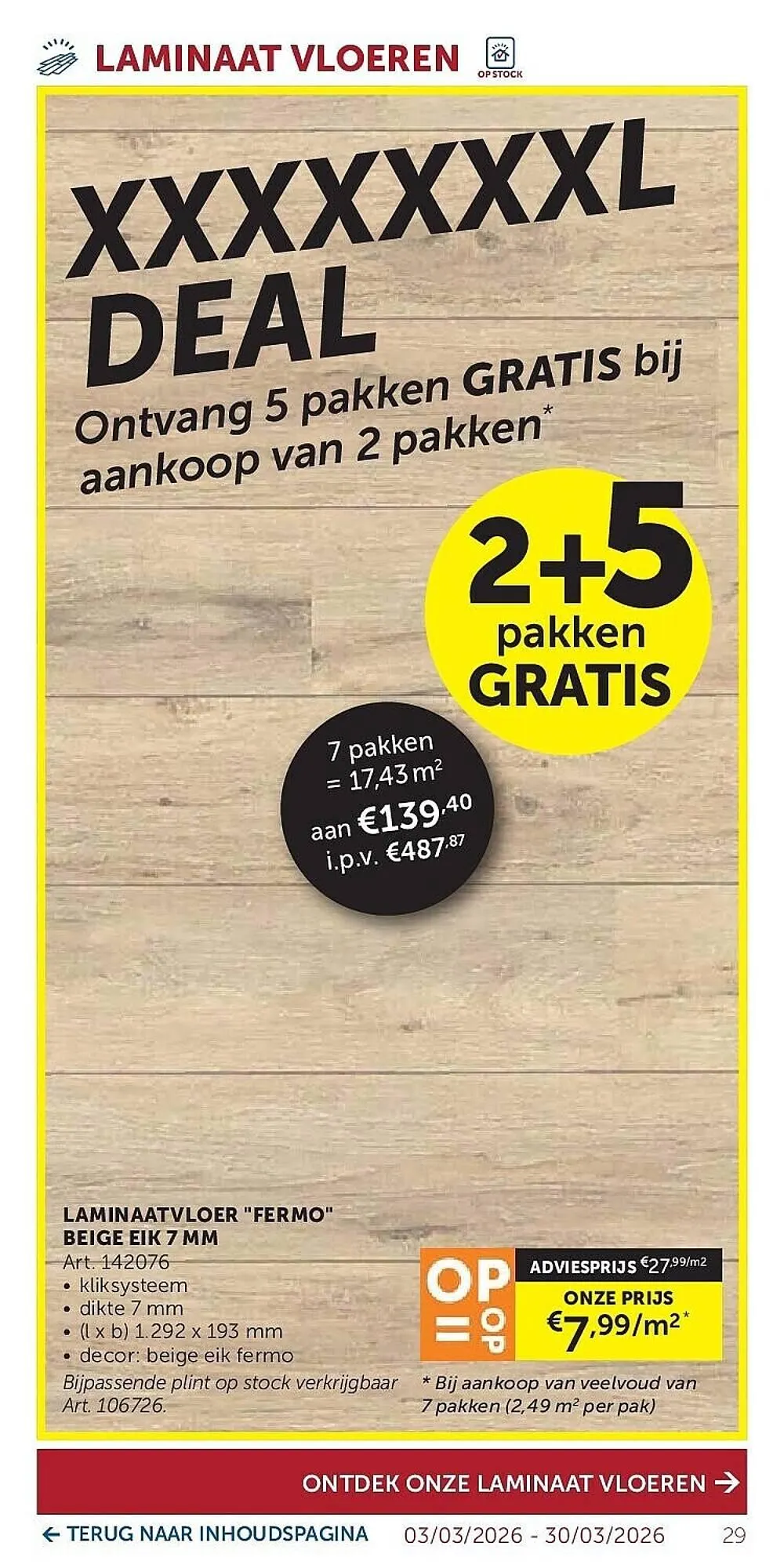 Zelfbouwmarkt folder van 3 maart tot 30 maart 2026 - folder pagina 29