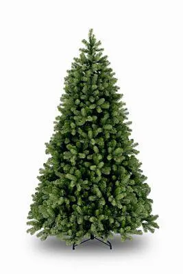 National Tree Company 31HPEBY65 Bayberry - 198 cm