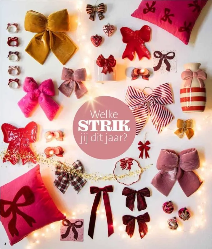 Intratuin folder tot 09.11.2025 van 1 november tot 9 november 2025 - folder pagina 2