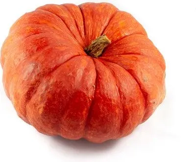 Pompoen (Cucurbita 'Rode van Etampes') D 25 cm