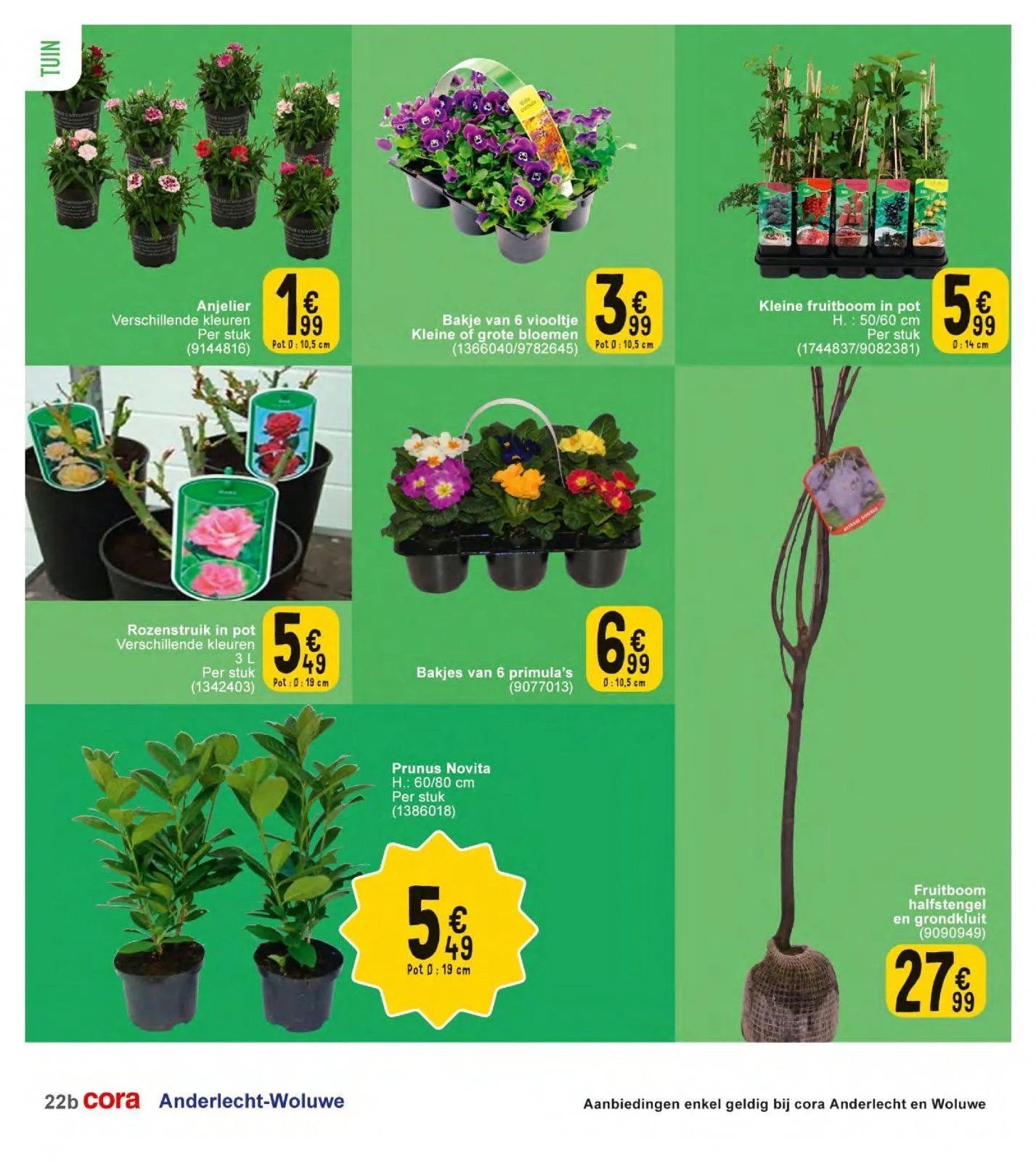 Cora folder tot 04.03.2024 van 16 februari tot 4 maart 2024 - folder pagina 22