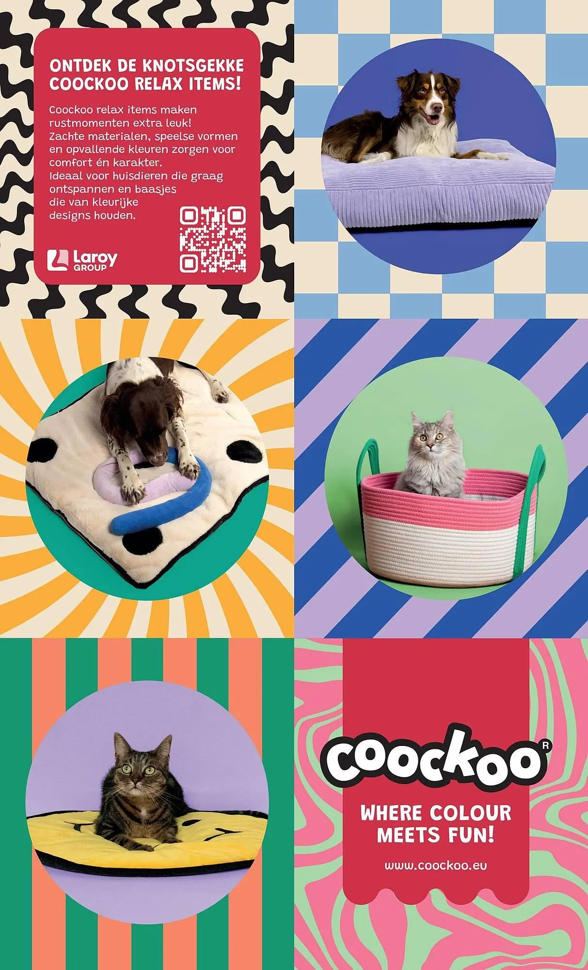 Tom&Co folder van 25 februari tot 8 maart 2026 - folder pagina 4