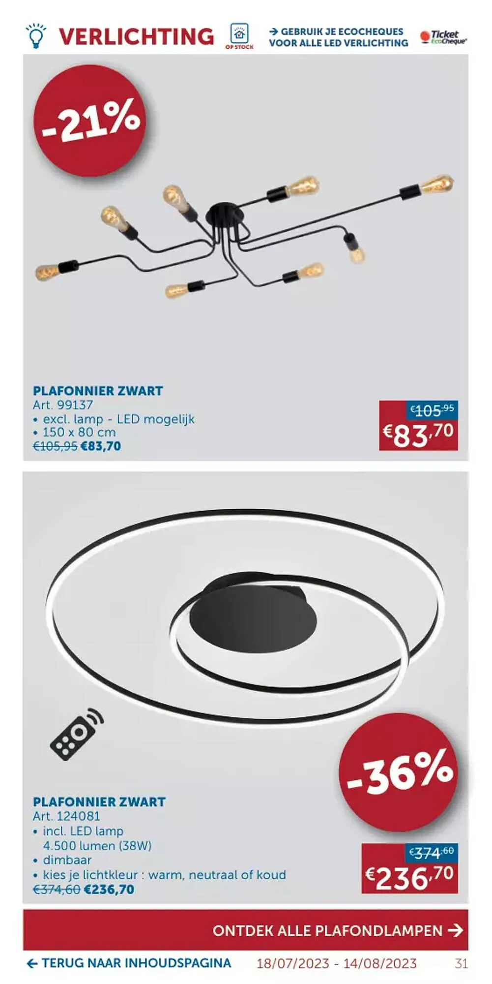 Zelfbouwmarkt folder van 18 juli tot 14 augustus 2023 - folder pagina 31