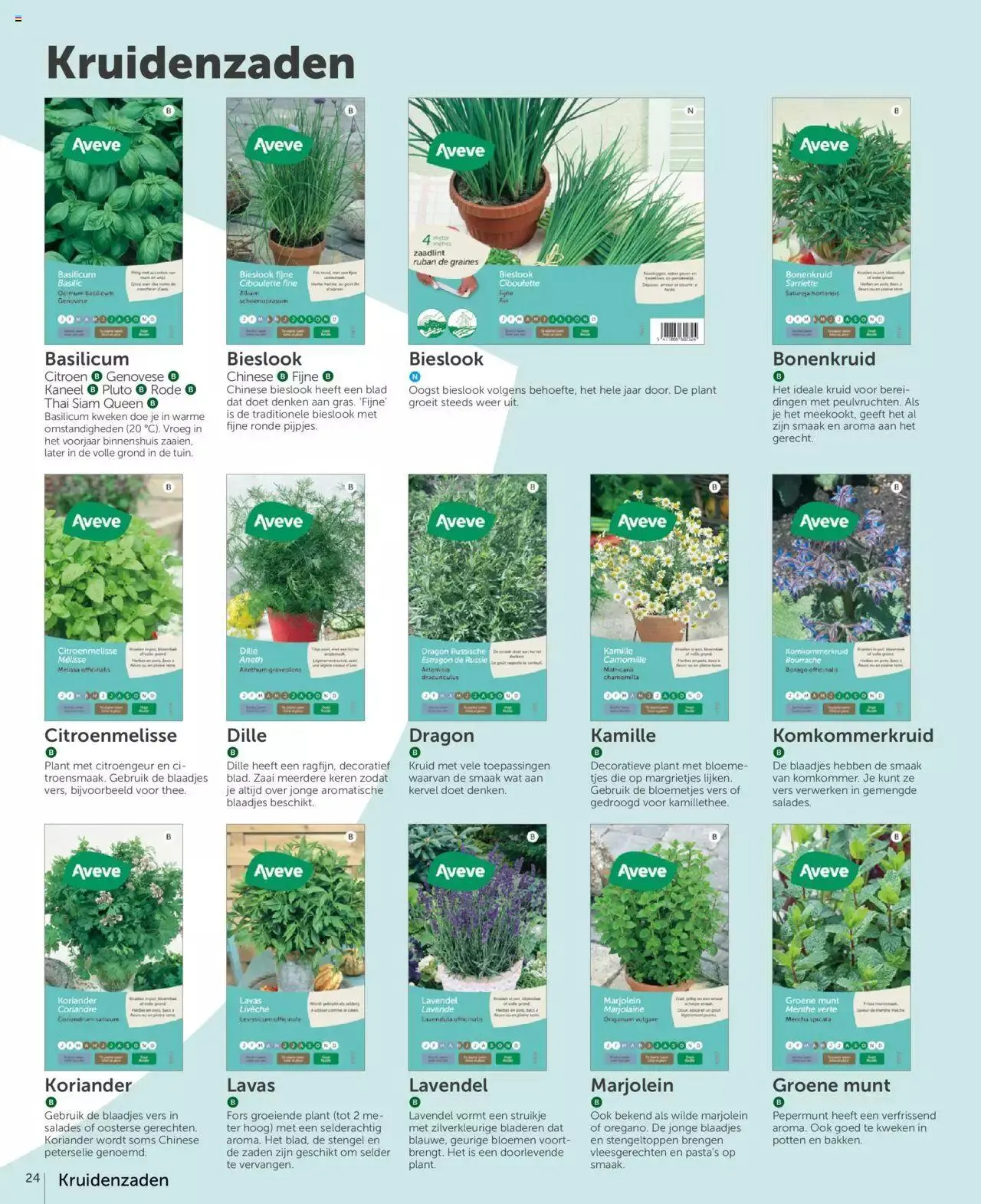 Aveve groente- en kruidengids van 31 december tot 31 december 2023 - folder pagina 24