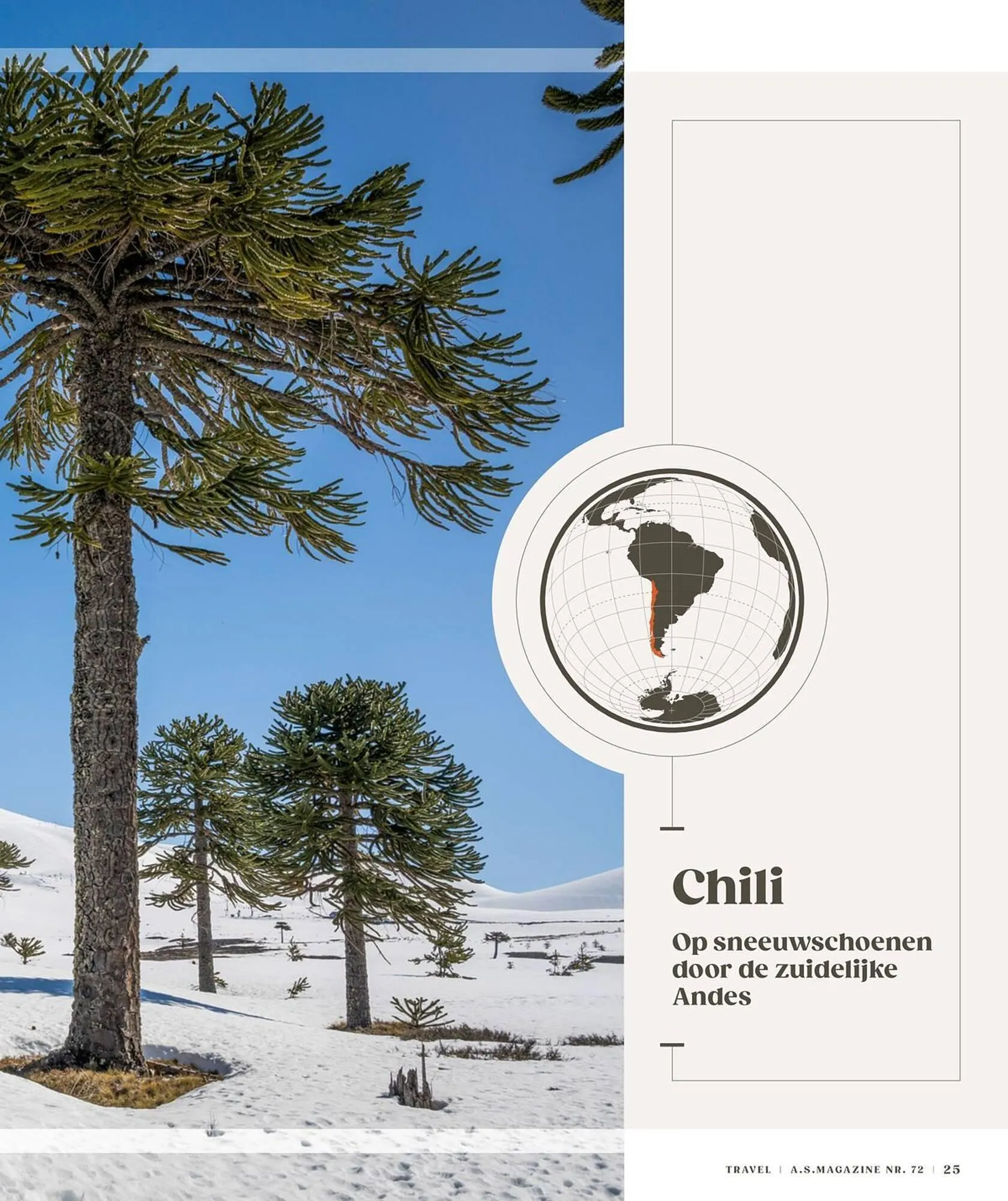 AS Adventure folder van 3 november tot 18 februari 2026 - folder pagina 25