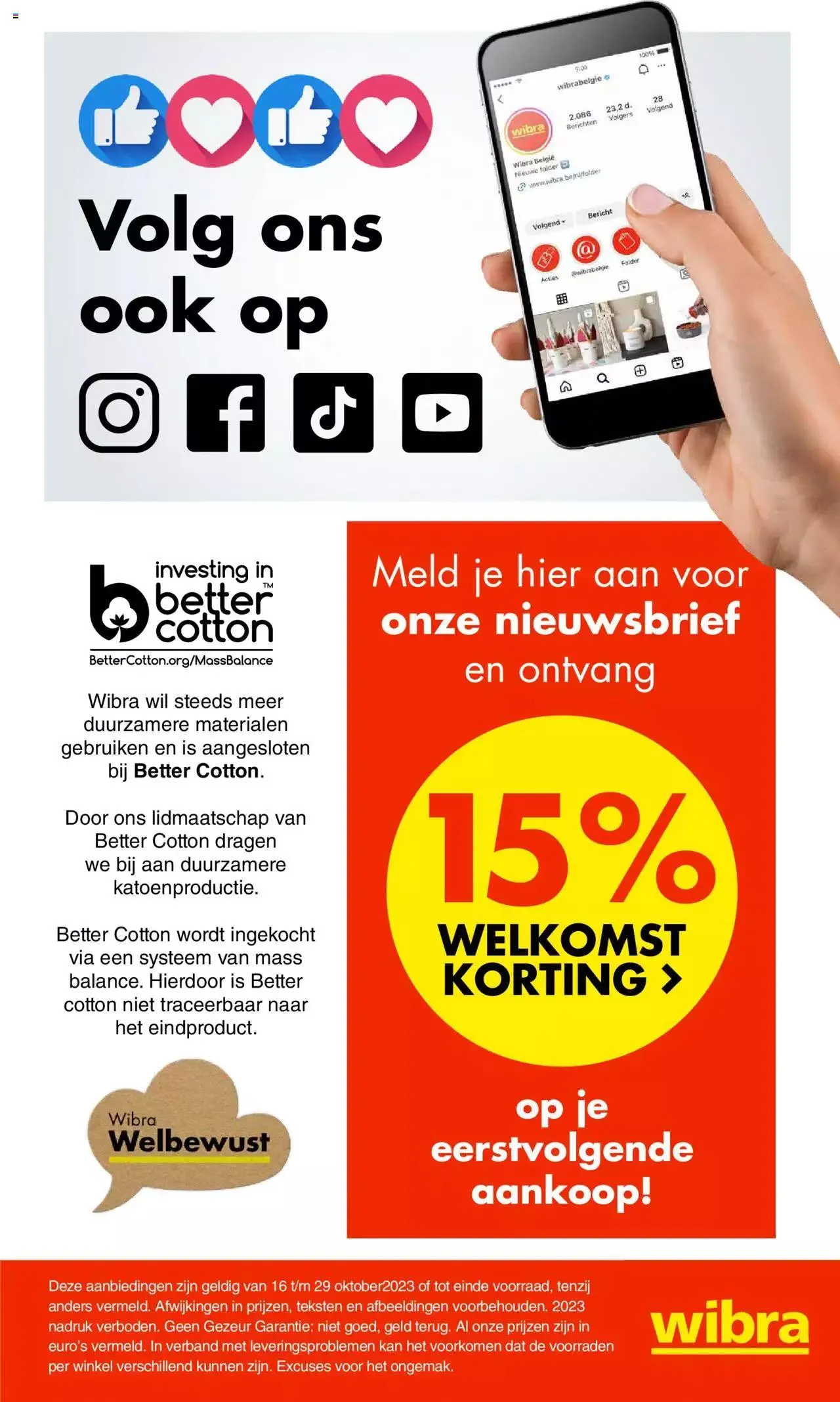 Wibra KERST: inspiratie special van 1 november tot 31 december 2023 - folder pagina 37