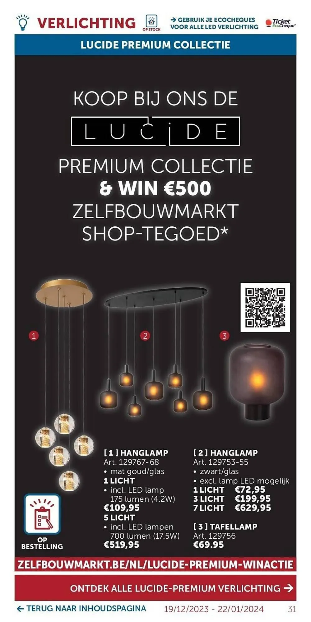 Zelfbouwmarkt folder van 19 december tot 22 januari 2024 - folder pagina 31