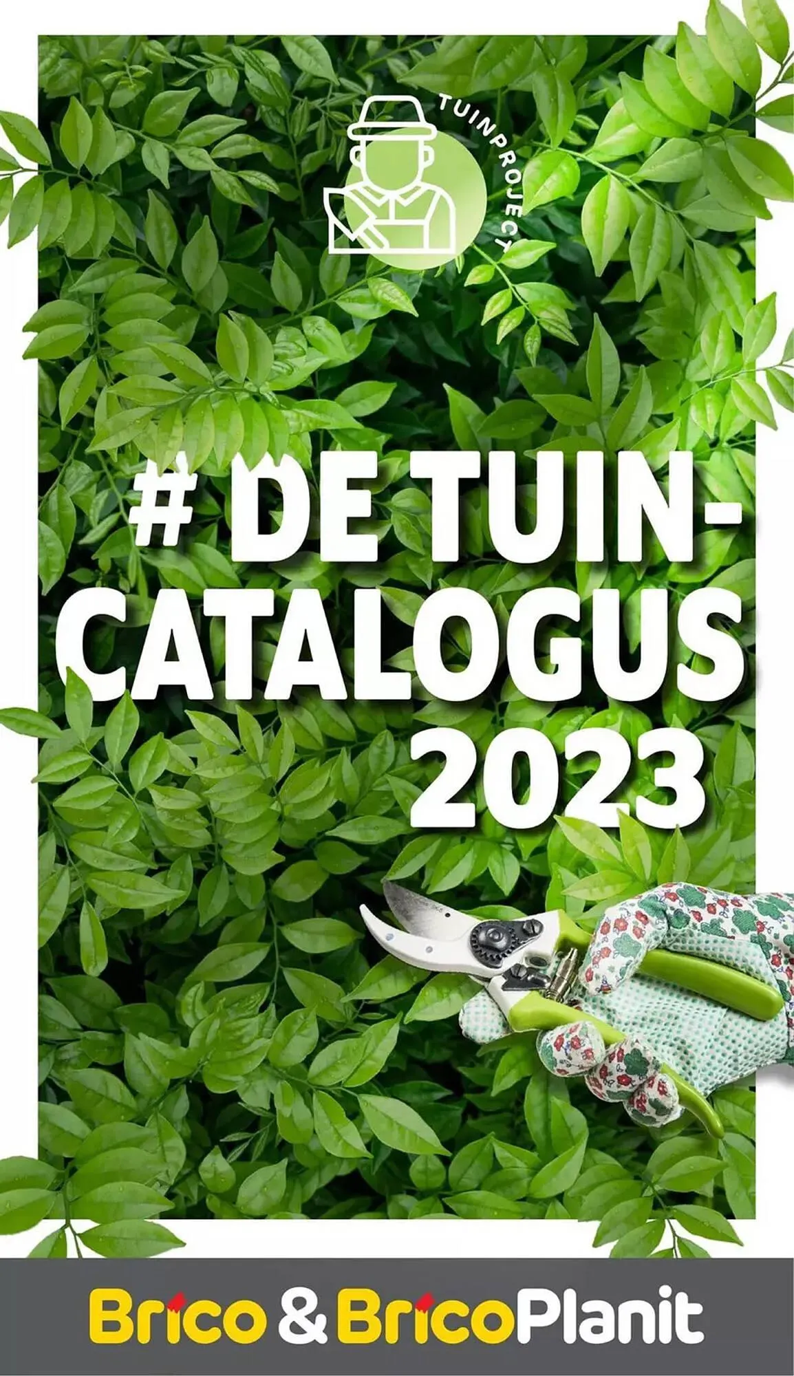 Brico Folder van 2 maart tot 31 januari 2024 - folder pagina 1