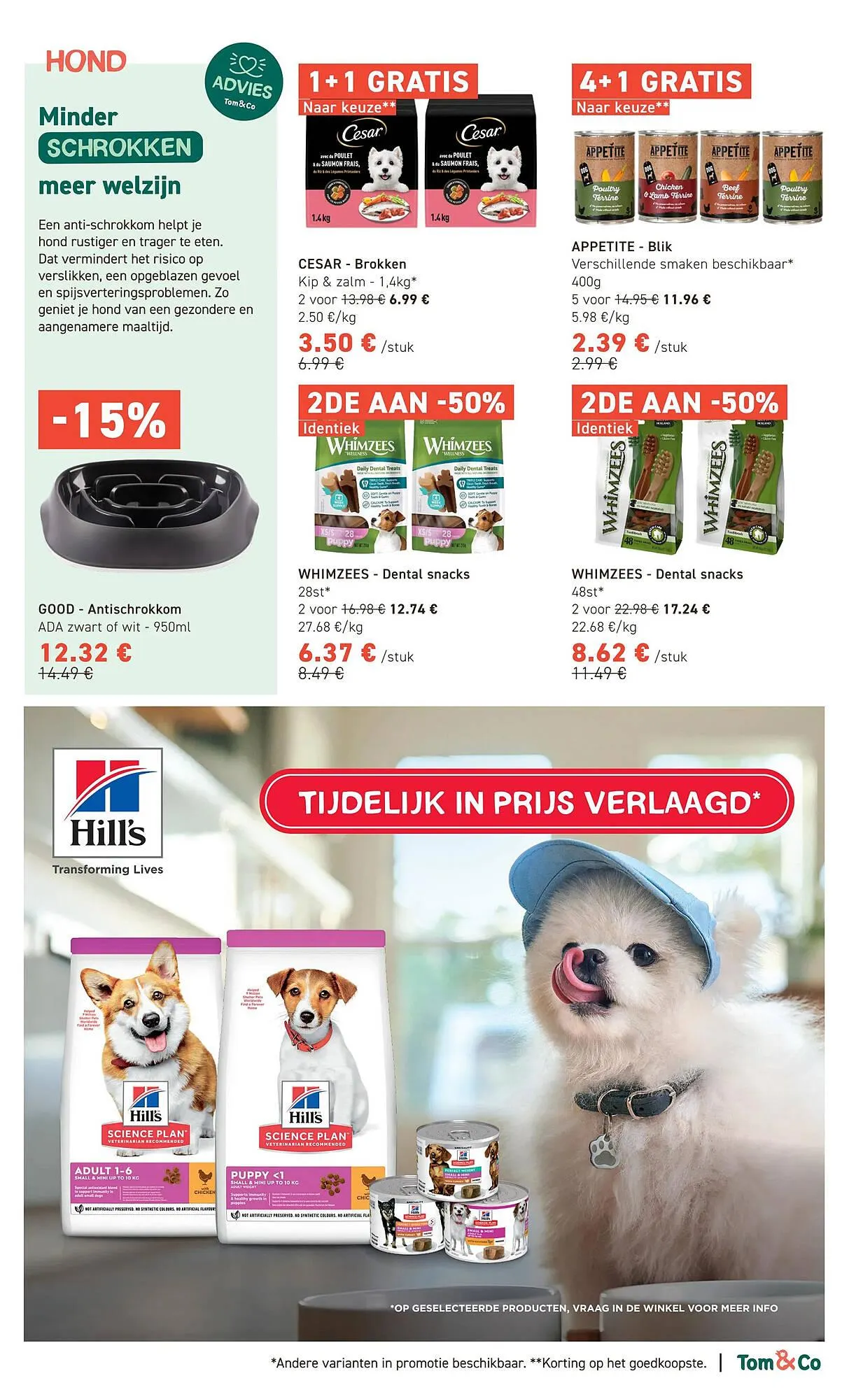 Tom&Co folder van 29 oktober tot 9 november 2025 - folder pagina 3