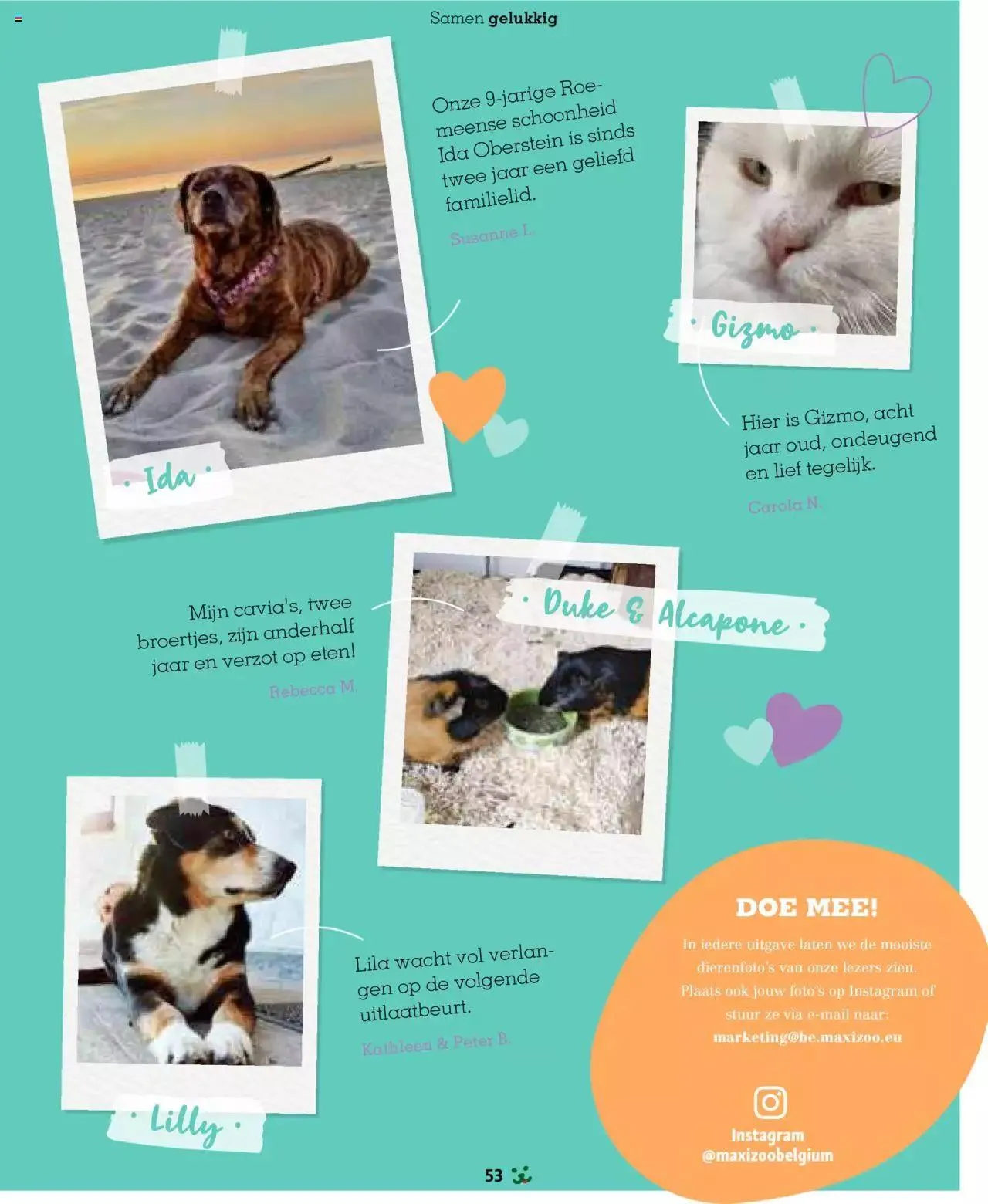 Maxi Zoo folder van 1 januari tot 31 december 2024 - folder pagina 53