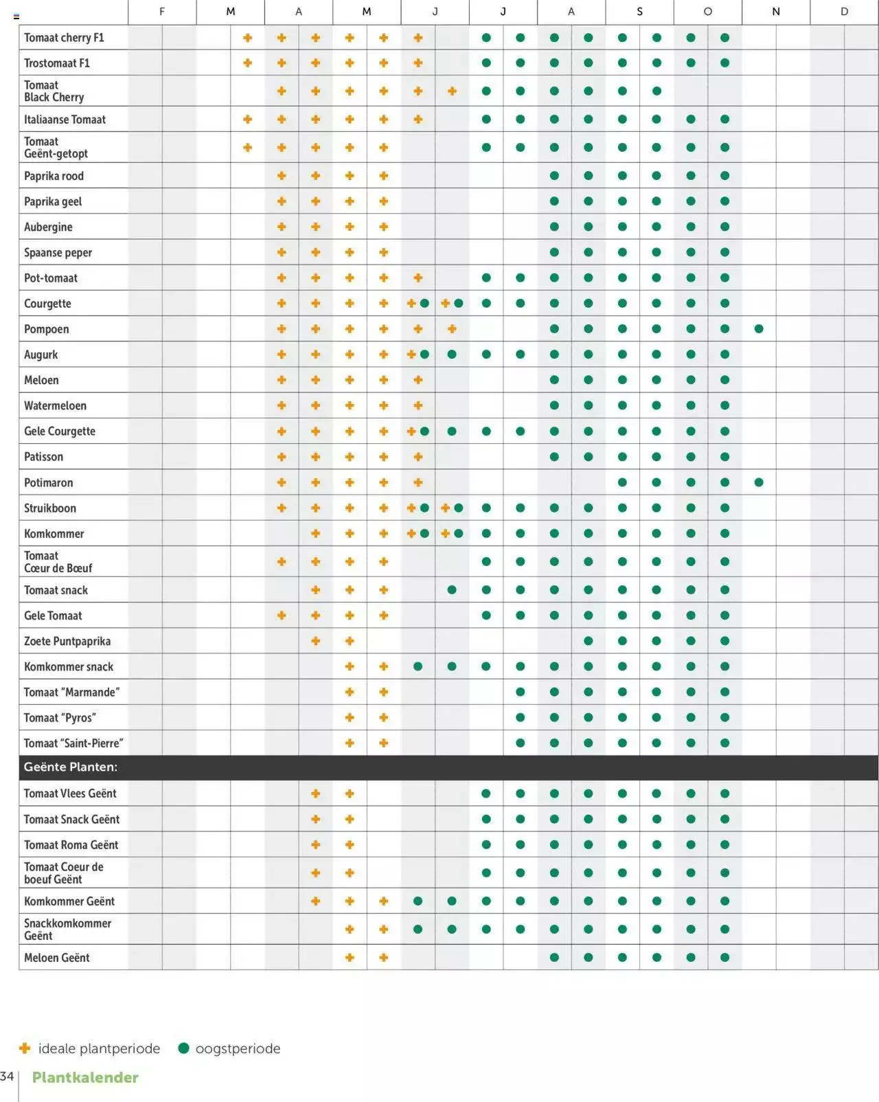 Aveve Groente- en kruidengids van 1 februari tot 31 december 2024 - folder pagina 34