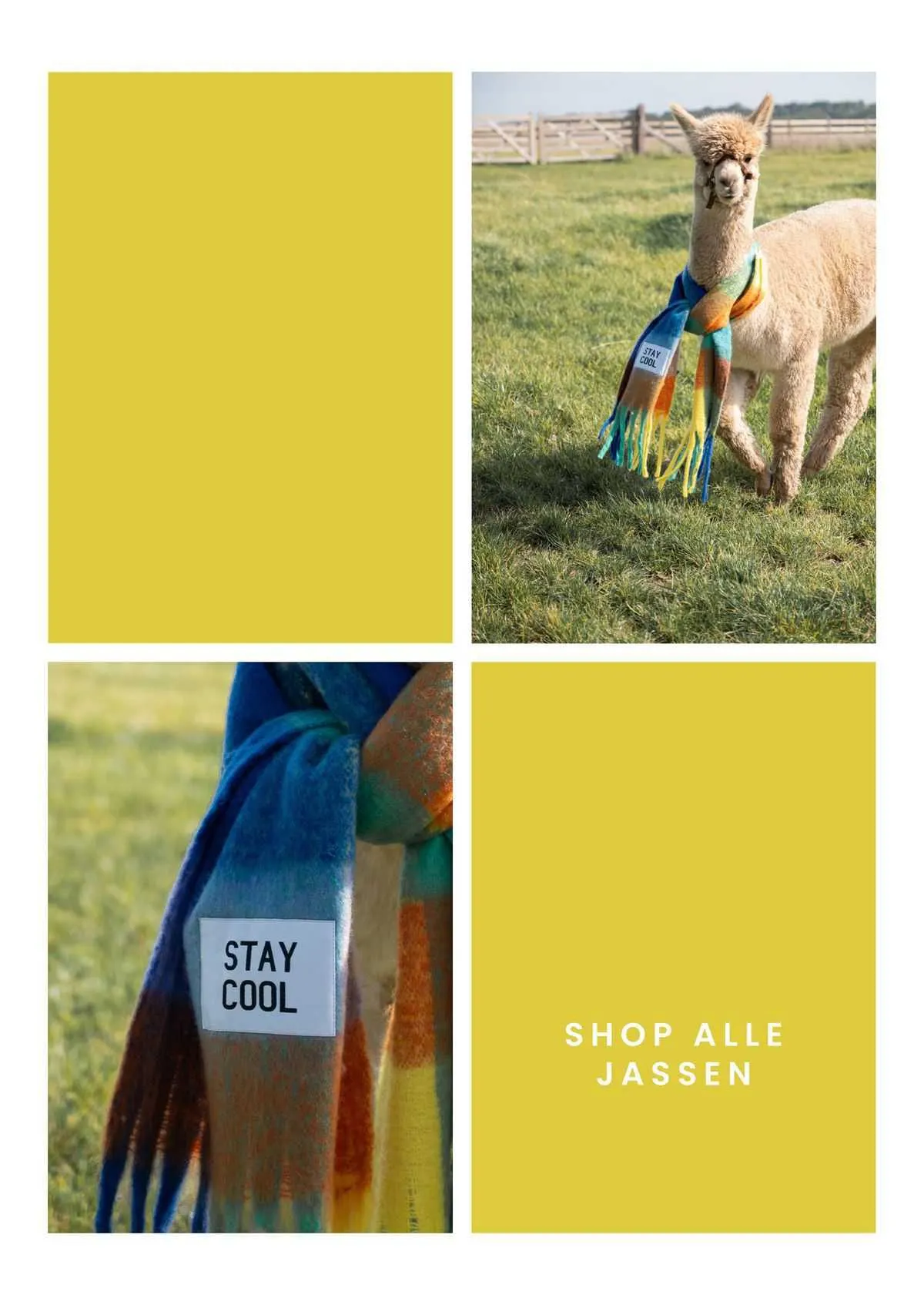 Giks Folder van 19 november tot 30 november 2023 - folder pagina 20