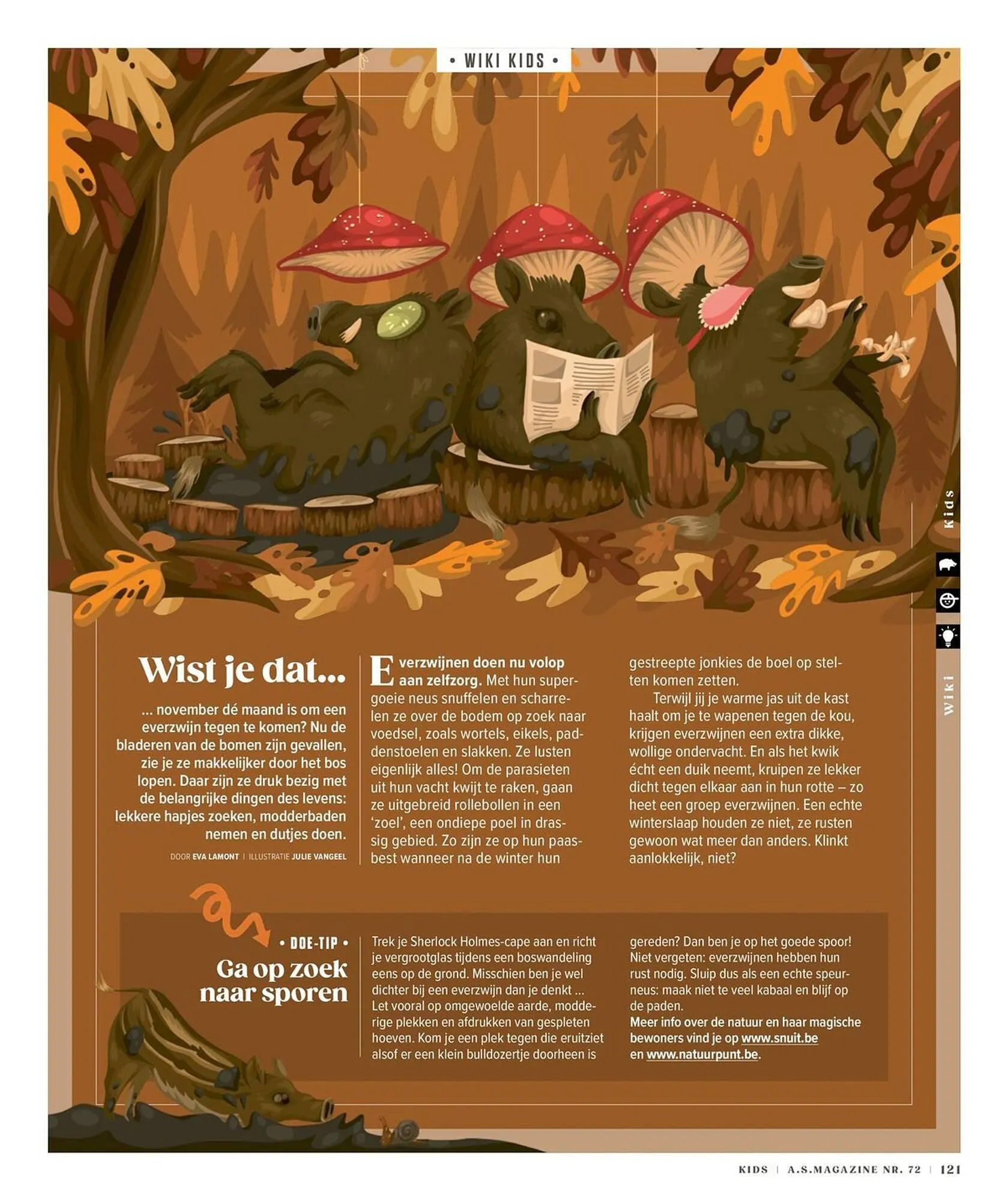 AS Adventure folder van 3 november tot 18 februari 2026 - folder pagina 121