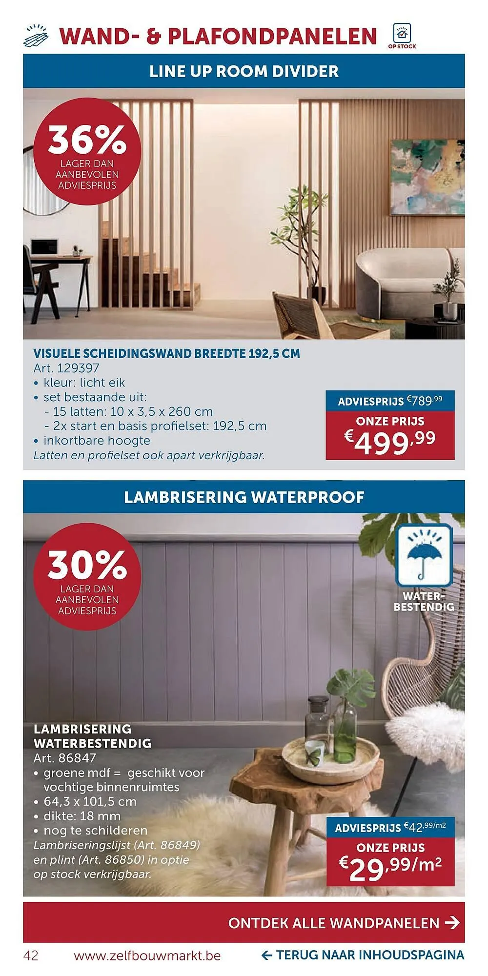 Zelfbouwmarkt folder van 20 januari tot 23 februari 2026 - folder pagina 42